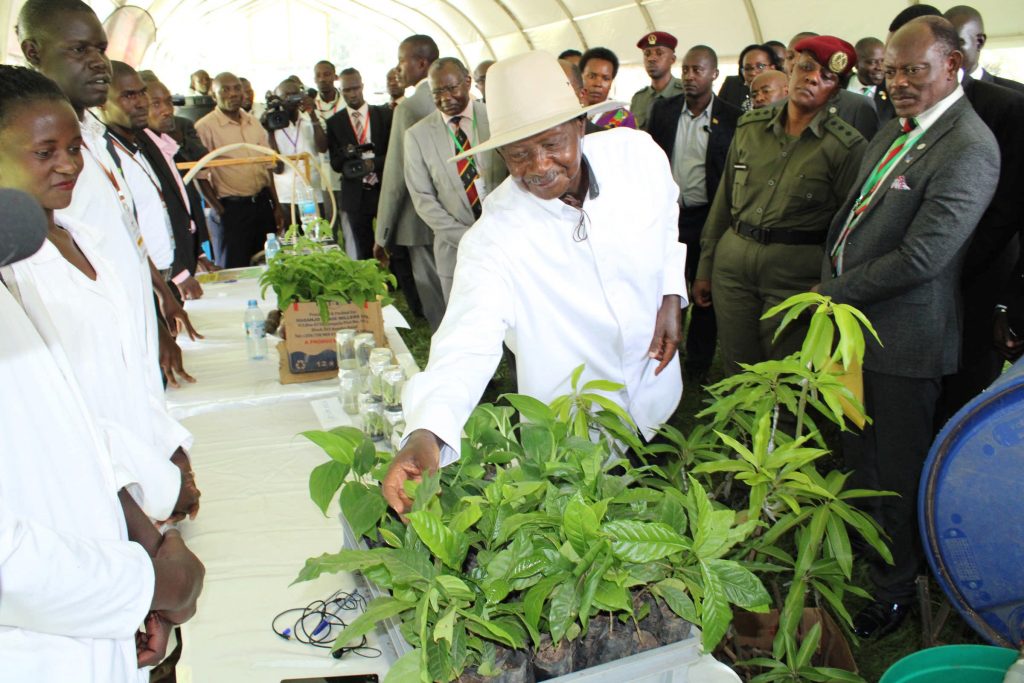  - President Yoweri Museveni at the tissue culture stall during the Makerere University Agricultural Day and Exhibition