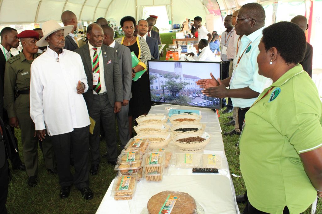  - The President visits MaRCCI stall, a project that conducts research on cowpea and sorghum during the Makerere University Agricultural Day and Exhibition