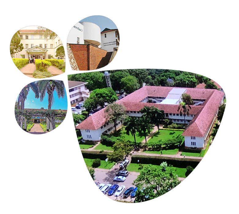 College of Agricultural and Environmental Sciences