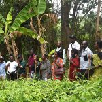 Mak Strengthens Kasese, Mbale Urban Food Systems through Cross-City Learning